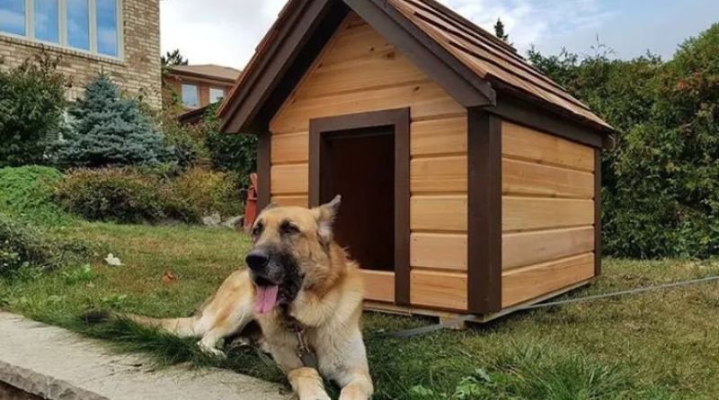 Dog House Heater: A Complete Guide for Keeping Your Pet Warm and Comfortable